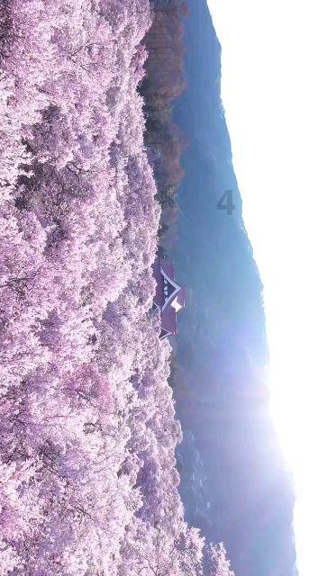 这是那个直播平台，知道的告诉我谢谢游戏画面