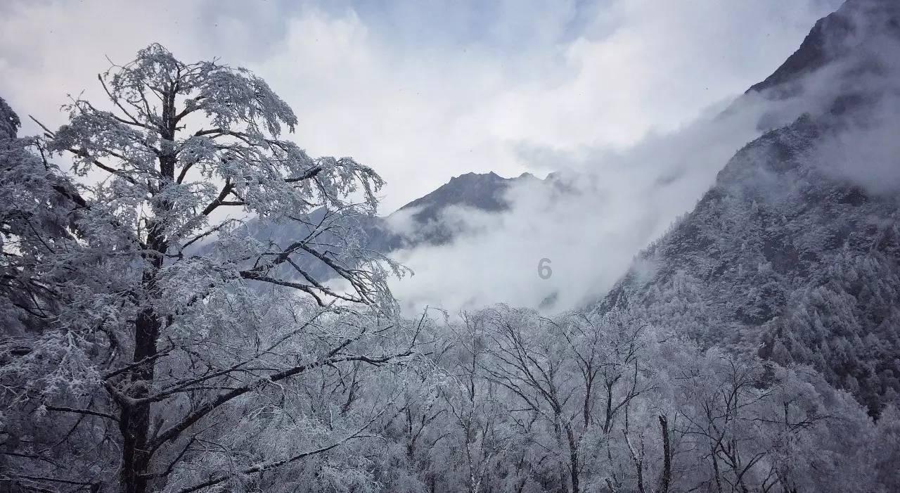 “老寒腿”是冻出来的吗？为啥年纪轻轻也会得？游戏画面