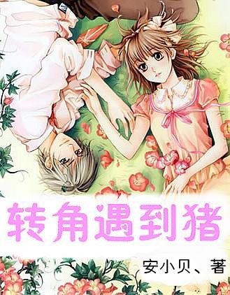 超三国无双5