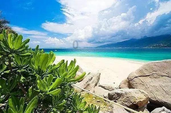海岛冲浪