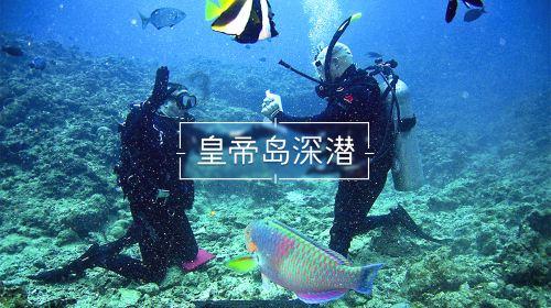 众神之宝