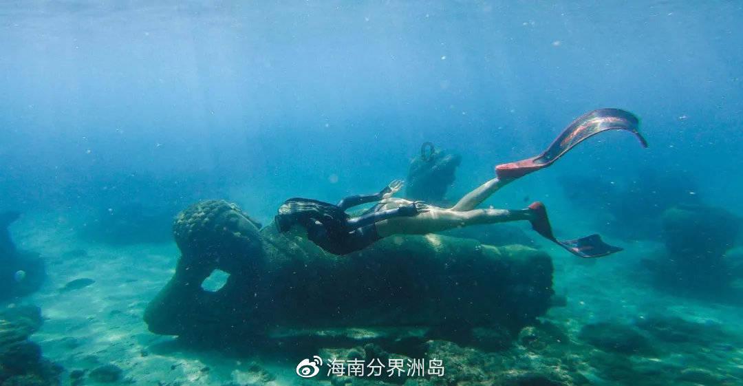 春雨直播app