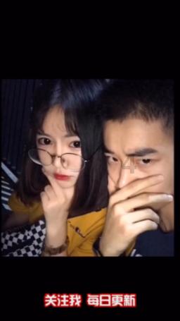 小狗救援行动选关版
