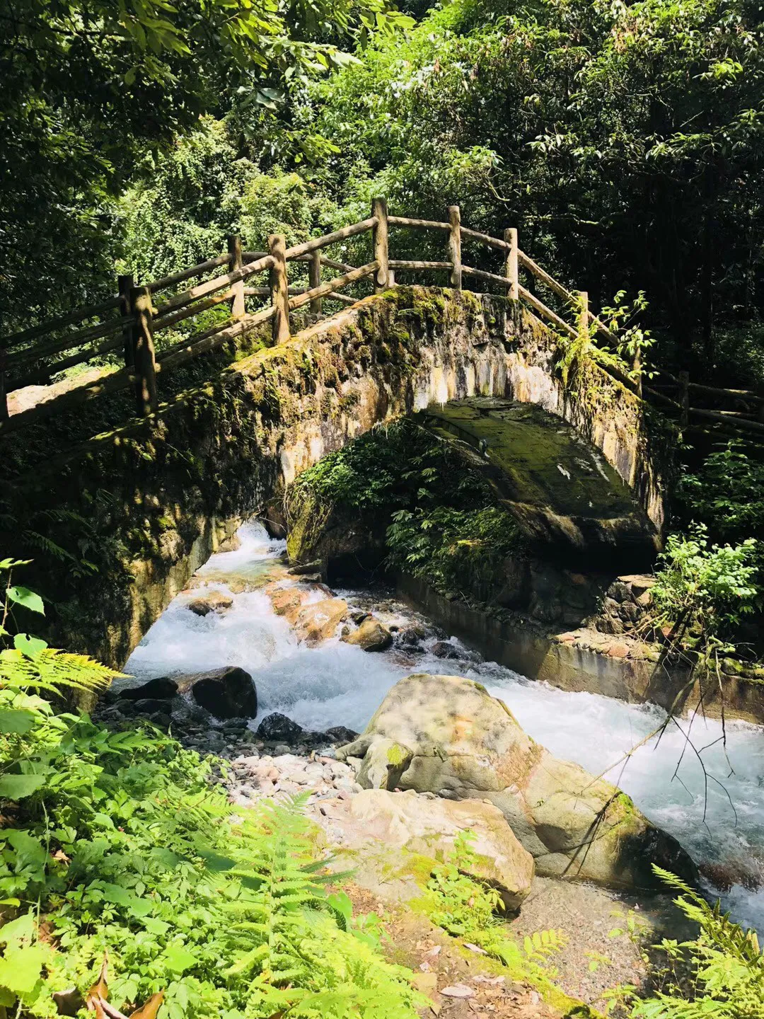 夏日网上购物