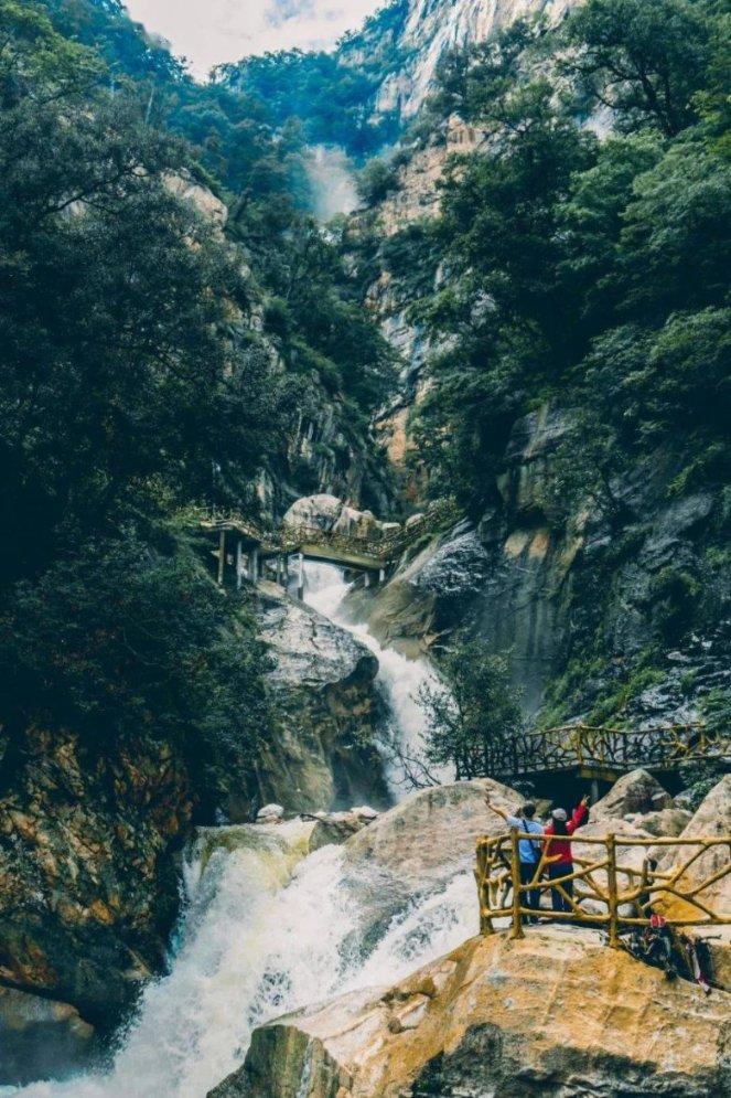 破碎的动物图形2