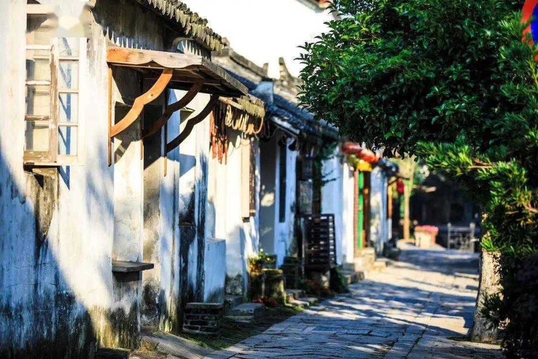 【一图读懂】陇西县政府工作报告极简版