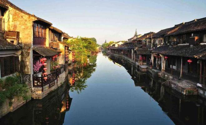陈仓:鱼缸之外