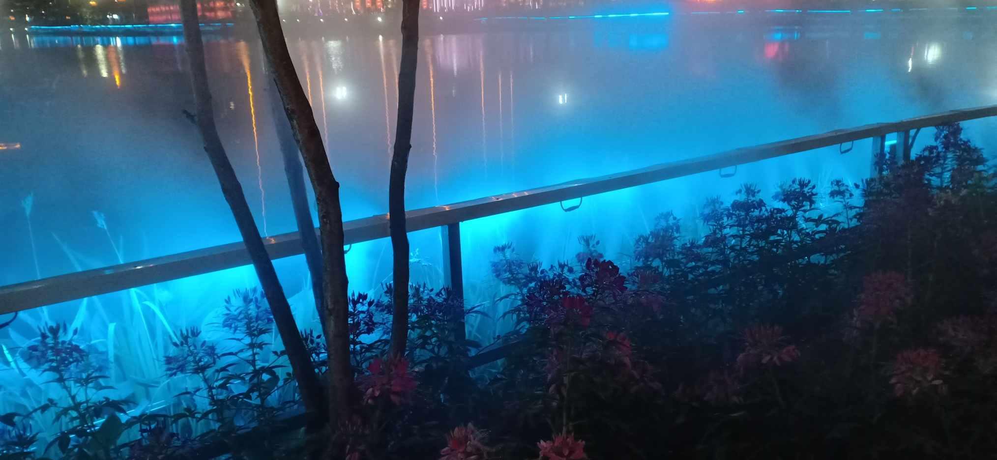 沪江开心词场